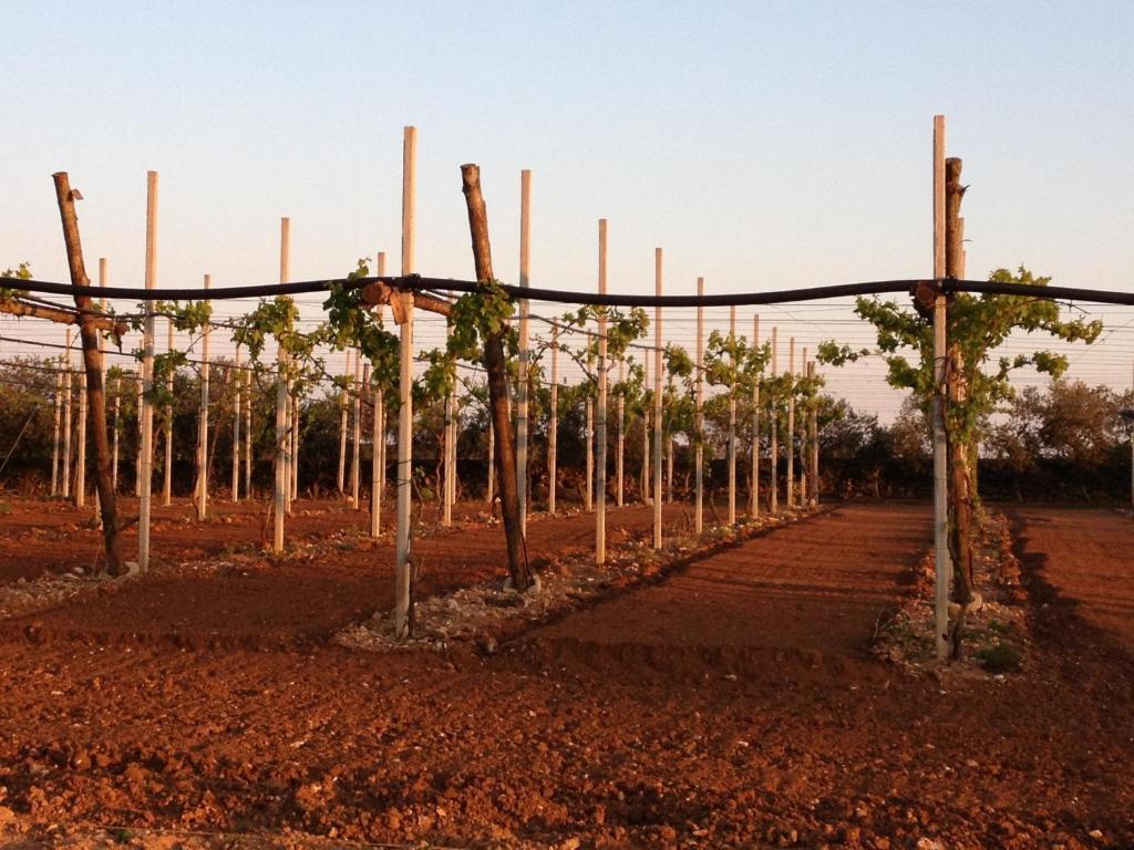 Agriturismo Terra Rossa Otranto Eksteriør billede