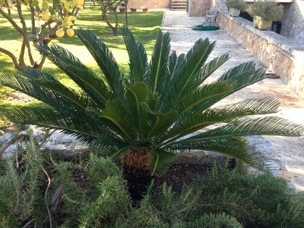 Agriturismo Terra Rossa Otranto Eksteriør billede