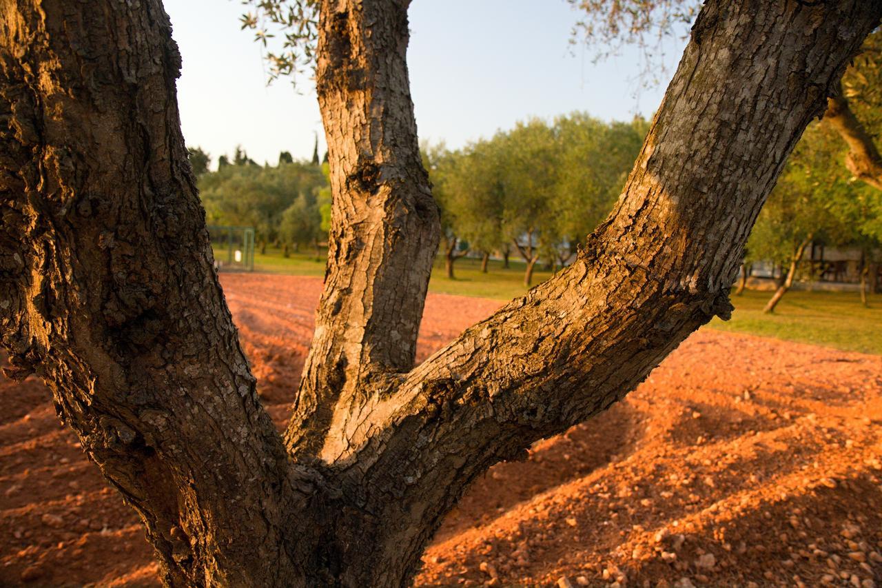 Agriturismo Terra Rossa Otranto Eksteriør billede